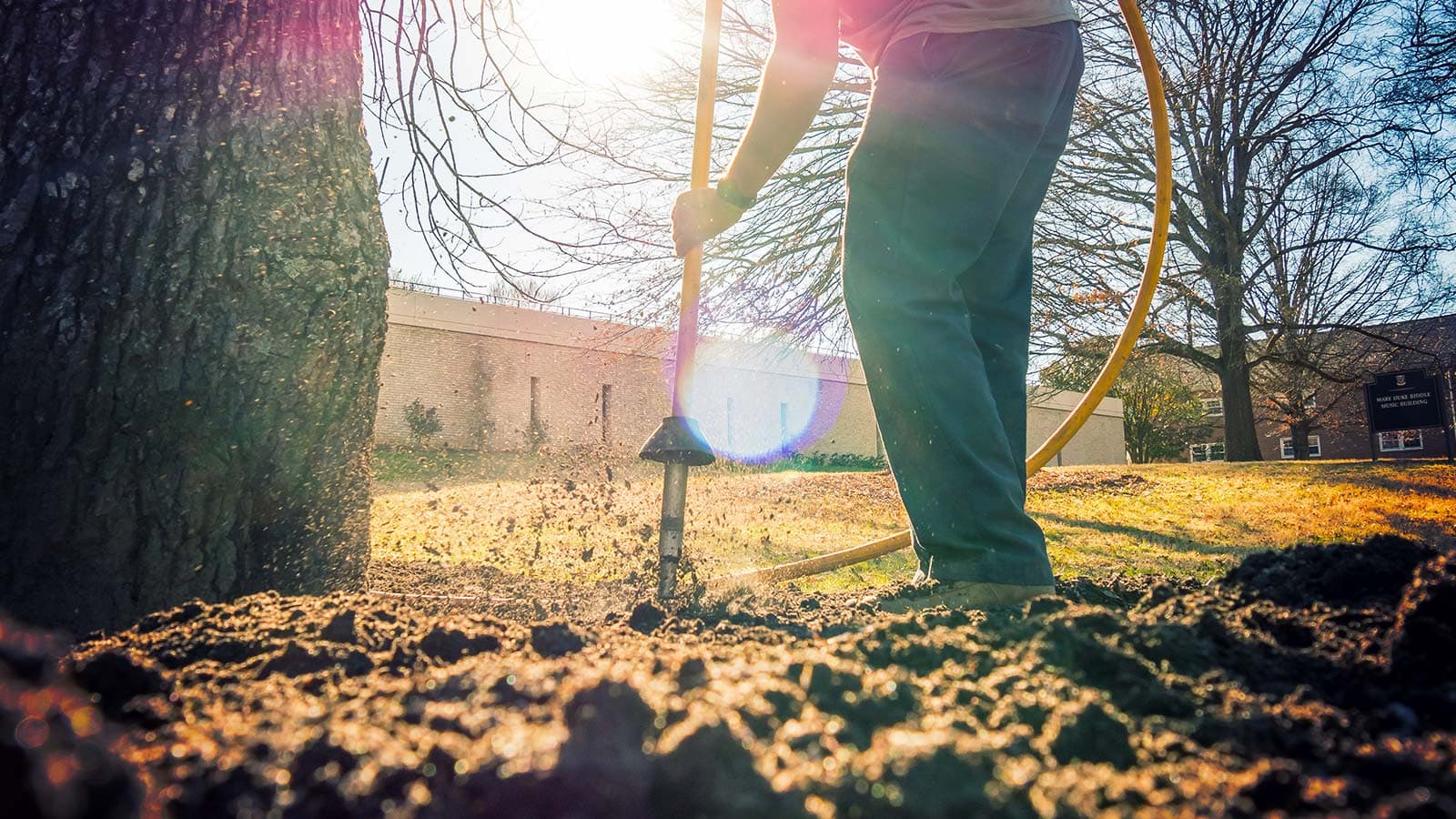 Soil Decompaction is essential for favorable tree health
