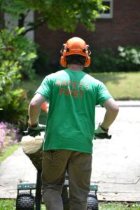 Why Should You Let Professionals Handle Tree Removal