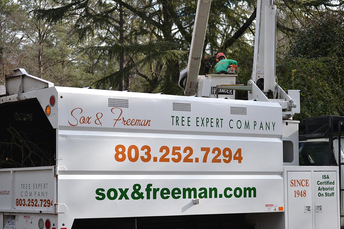 Why Sox and Freeman Tree Expert Company
