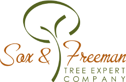sox_and_freeman_logo